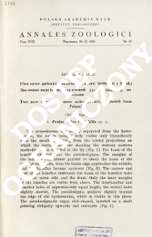 Two new species of moss mites (Acari, Oribatei) from Poland