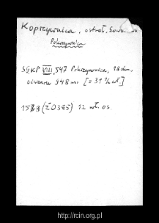 Pokrzywnica. Files of Ostroleka district in the Middle Ages. Files of Historico-Geographical Dictionary of Masovia in the Middle Ages