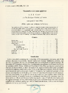 Mammalian olecranon epiphyses