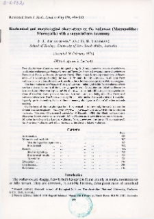 Biochemical and morphological observations on the wallaroos (Macropodidae: Marsupialia) with a suggested new taxonomy