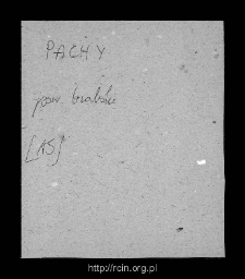 Pachy. Files of Biala Rawska district in the Middle Ages. Files of Historico-Geographical Dictionary of Masovia in the Middle Ages