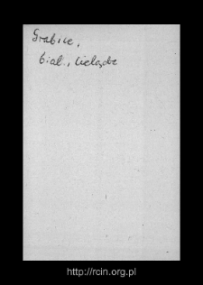 Grabice. Files of Biala Rawska district in the Middle Ages. Files of Historico-Geographical Dictionary of Masovia in the Middle Ages