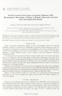The first record of Orthostigma cratospilum (Thomson, 1895) (Hymenoptera: Braconidae, Alysiinae) in Poland, with a note on its host and a description of the female