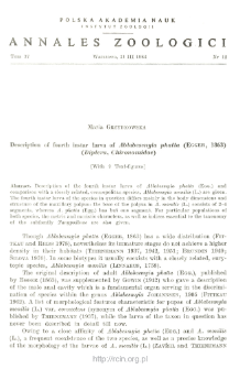 Description of fourth instar larva of Ablabesmyia phatta (EGGER, 1863) (Diptera, Chironomidae)