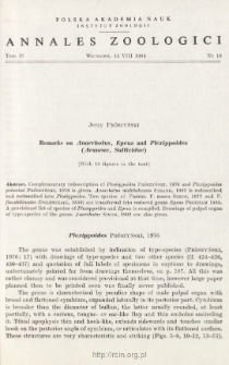 Remarks on Anarrhotus, Epeus and Plexippoides (Araneae, Salticidae)