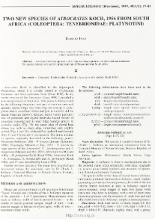 Two new species of Atrocrates Koch, 1956 from South Africa (Coleoptera: Tenebrionidae: Platynotini)