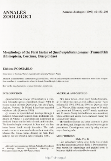 Morphology of the First Instar of Quadraspidiotus zonatus (Frauenfeld) (Homoptera, Coccinea, Diaspididae)