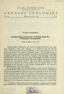 Immature stages and bionomics of Vadonia livida (F.) (Coleoptera, Cerambycidae)