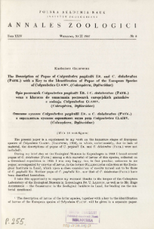 The description of pupae of Colymbetes paykulli ER. and C. dolabratus (PAYK.) with a key to the identification of pupae of the European species of Colymbetes CLAIRV. (Coleoptera, Dytiscidae) = Opis poczwarek Colymbetes paykulli ER. i C. dolabratus (PAYK.) wraz z kluczem do oznaczania poczwarek europejskich gatunków z rodzaju Colymbetes CLAIRV. (Coleoptera, Dytiscidae)