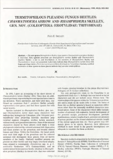 Termitophilous pleasing fungus beetles: Chasmatodera Arrow and Rhamphidera Skelley, gen. nov. (Coleoptera: Erotylidae: Tritominae)