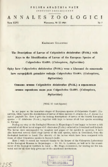 The Descriptions of larvae of Colymbetes dolabratus (PAYK.) with keys to the identification of larvae of the European species of Colymbetes CLAIRV. (Coleoptera, Dytiscidae) = Opisy larw Colymbetes dolabratus (PAYK.) wraz z kluczami do oznaczania larw europejskich gatunków rodzaju Colymbetes CLAIRV. (Coleoptera, Dytiscidae)