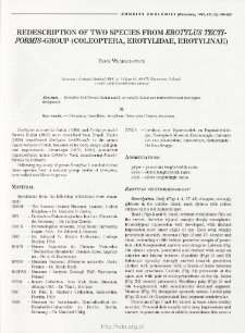 Redescription of two species from Erotylus tectiformis-group (Coleoptera, Erotylidae, Erotylinae)