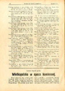 Wielkopolska w epoce kamiennej