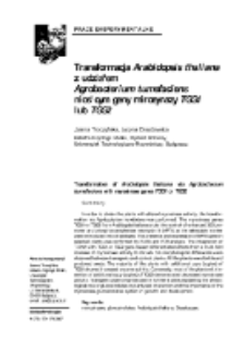 Transformacja Arabidopsis thaliana z udziałem Agrobacterium tumefaciens niosącym geny mirozynazy TGG1 lub TGG2