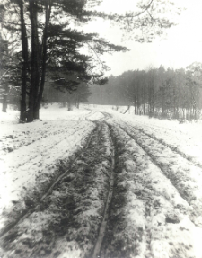 Fotografie nieokreślone