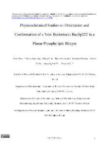 Physicochemical Studies on Orientation and Conformation of a New Bacteriocin BacSp222 in a Planar Phospholipid Bilayer
