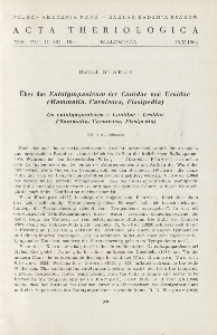 Über das Entotympanicum der Canidae und Ursidae (Mammalia, Carnivora, Fissipedia); Os entotympanicum u Canidae i Ursidae (Mammalia, Carnivora, Fissipedia)