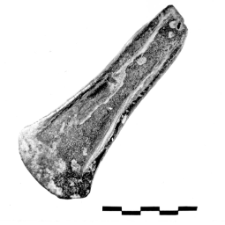 axe (Niemica) - chemical analysis