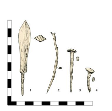 1 bolthead with a tang, 2 -4 nails , iron: one headless, two with heads