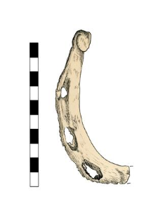 Horseshoe, fragment