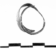 leaf-shaped ring (Miernów) - chemical analysis