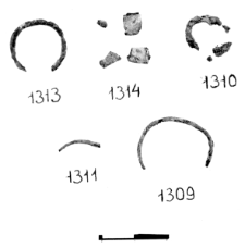 ringlet (Żerniki Górne) - chemical analysis