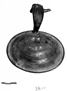 disc shaped fibula (Buczek)